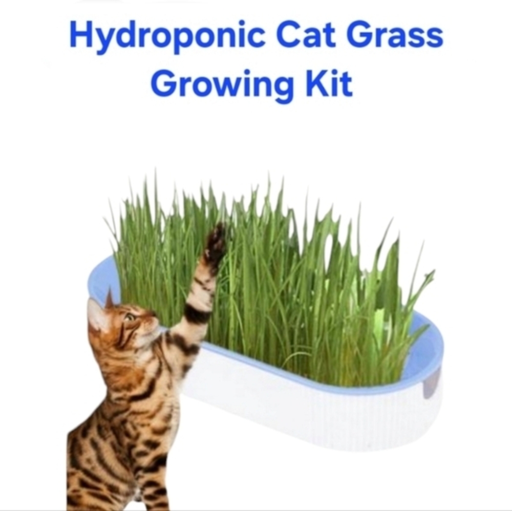 Organic Hydroponic Soil Free Cat Grass Box Cat Nip Blue and White‎ NWT